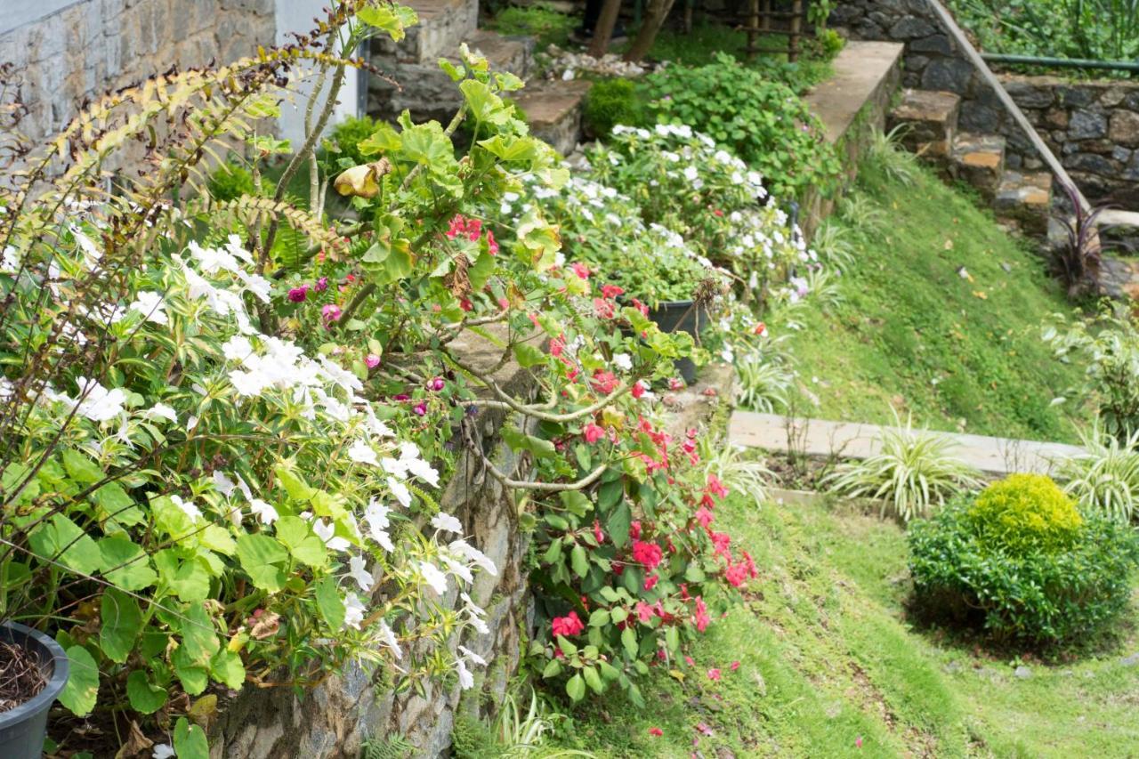 Amandara Hills Kandy Exteriér fotografie